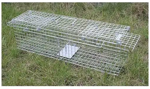 Pasca na hlodavce, rozmer 63x16x20 cm Strend Pro