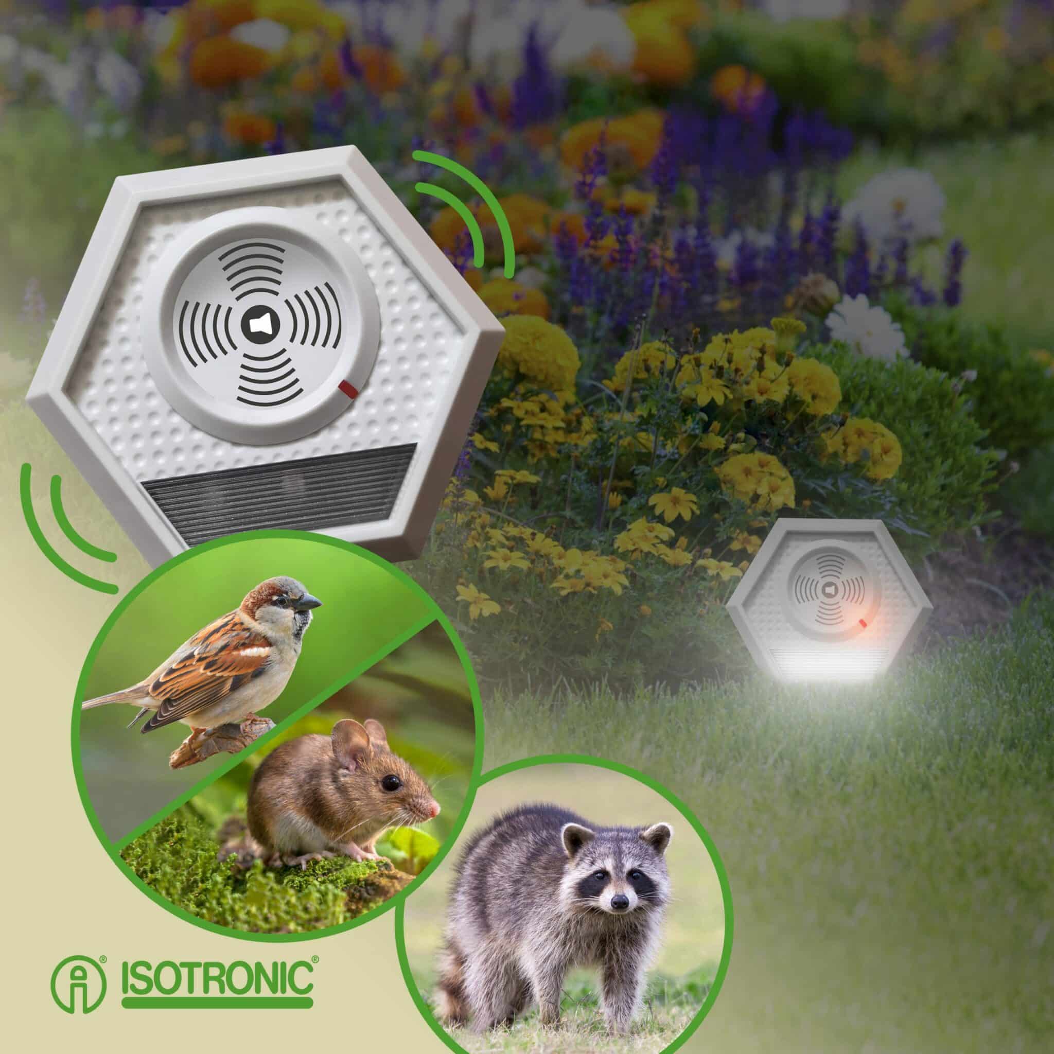 ULTRASONIC XL 800 Univerzálny plašič ISOTRONIC 62500