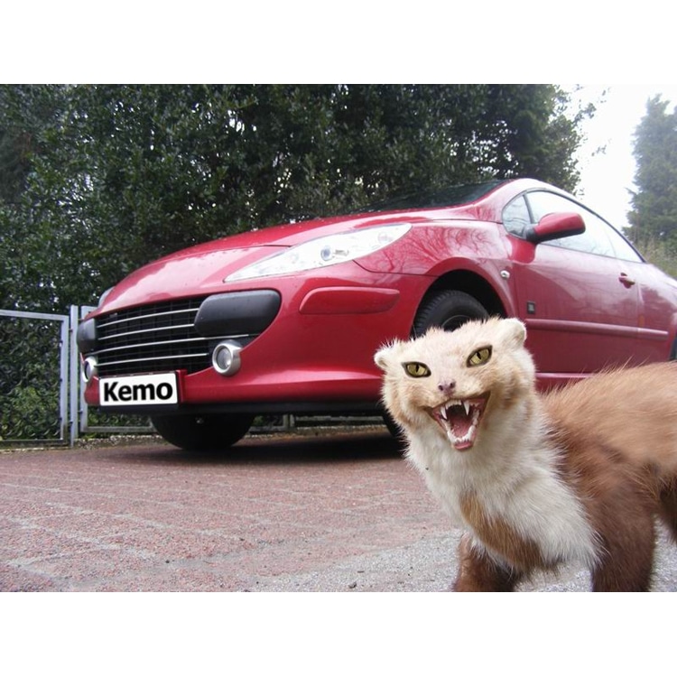 Odpudzovač kún KEMO M100N do automobilu