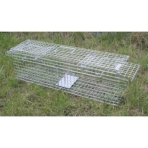 Kovová pasca Wiretrap50 na hlodavce, rozmer 50x14x14 cm, ideálna na odchyt myší a potkanov.